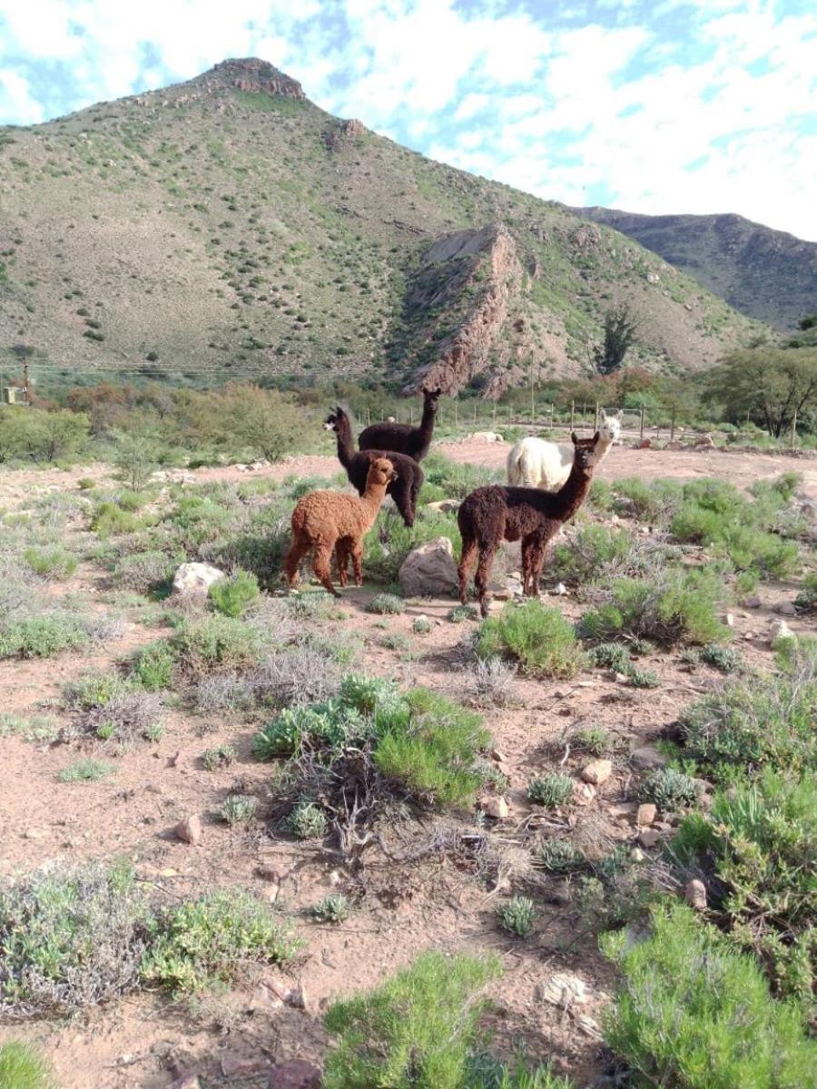 Bushman Valley Prince Albert Esterno foto